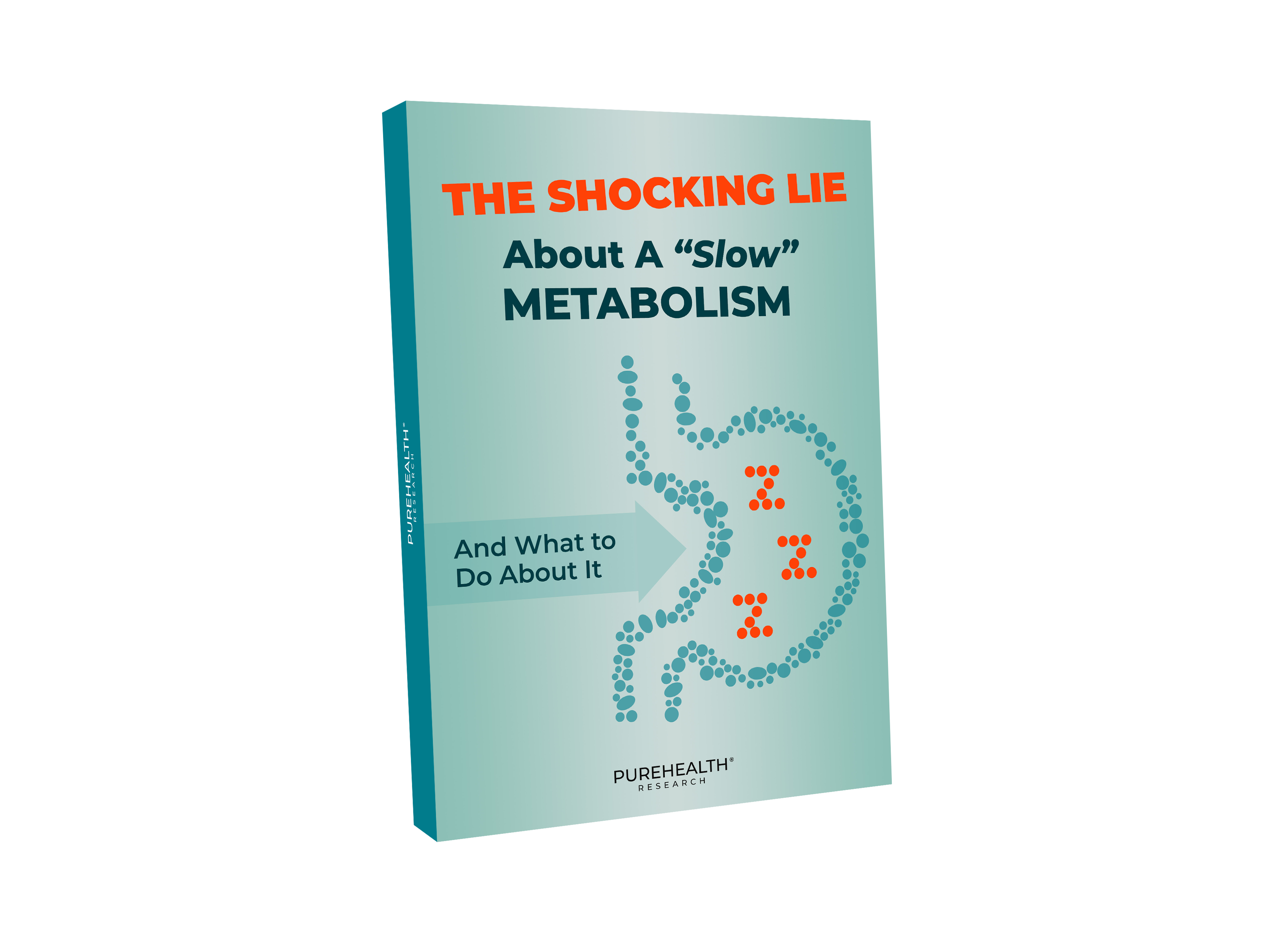 The Shocking Lie About<br> A “Slow” Metabolism